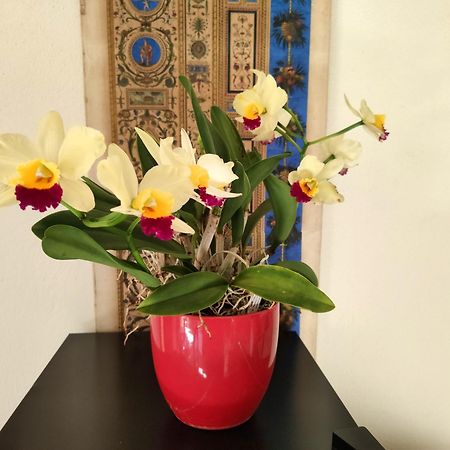 La Casa Nel Borgo Bed & Breakfast Piadena Dış mekan fotoğraf
