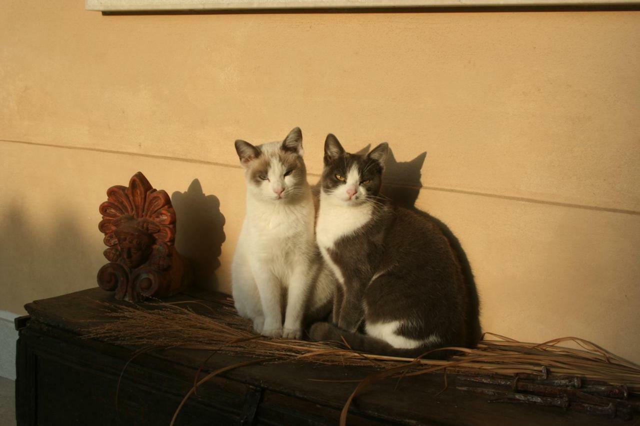 La Casa Nel Borgo Bed & Breakfast Piadena Dış mekan fotoğraf